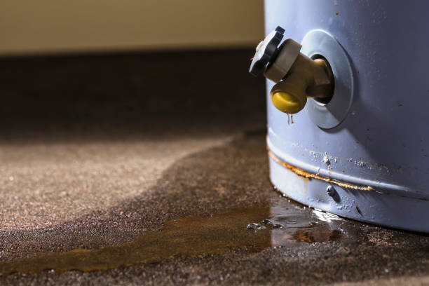 Reliable Weatherby Lake, MO Water damage restoration Solutions