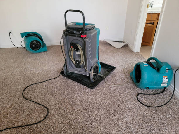 Best Ceiling water damage repair  in Weatherby Lake, MO